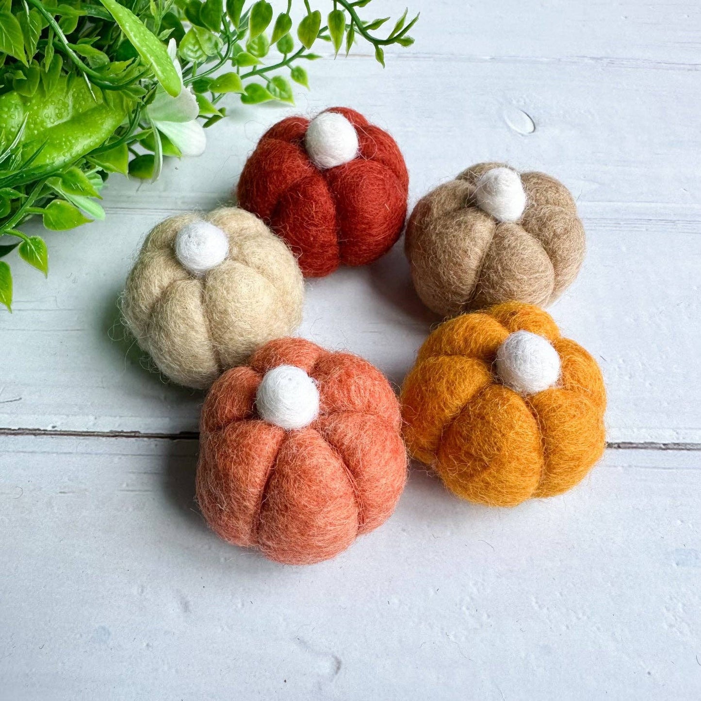Filzfigurset - Mini-Kürbis (5 Stück)