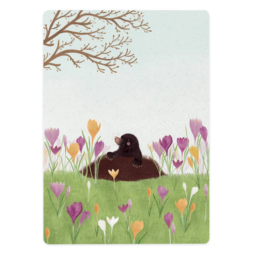 Krokusse und Maulwurf