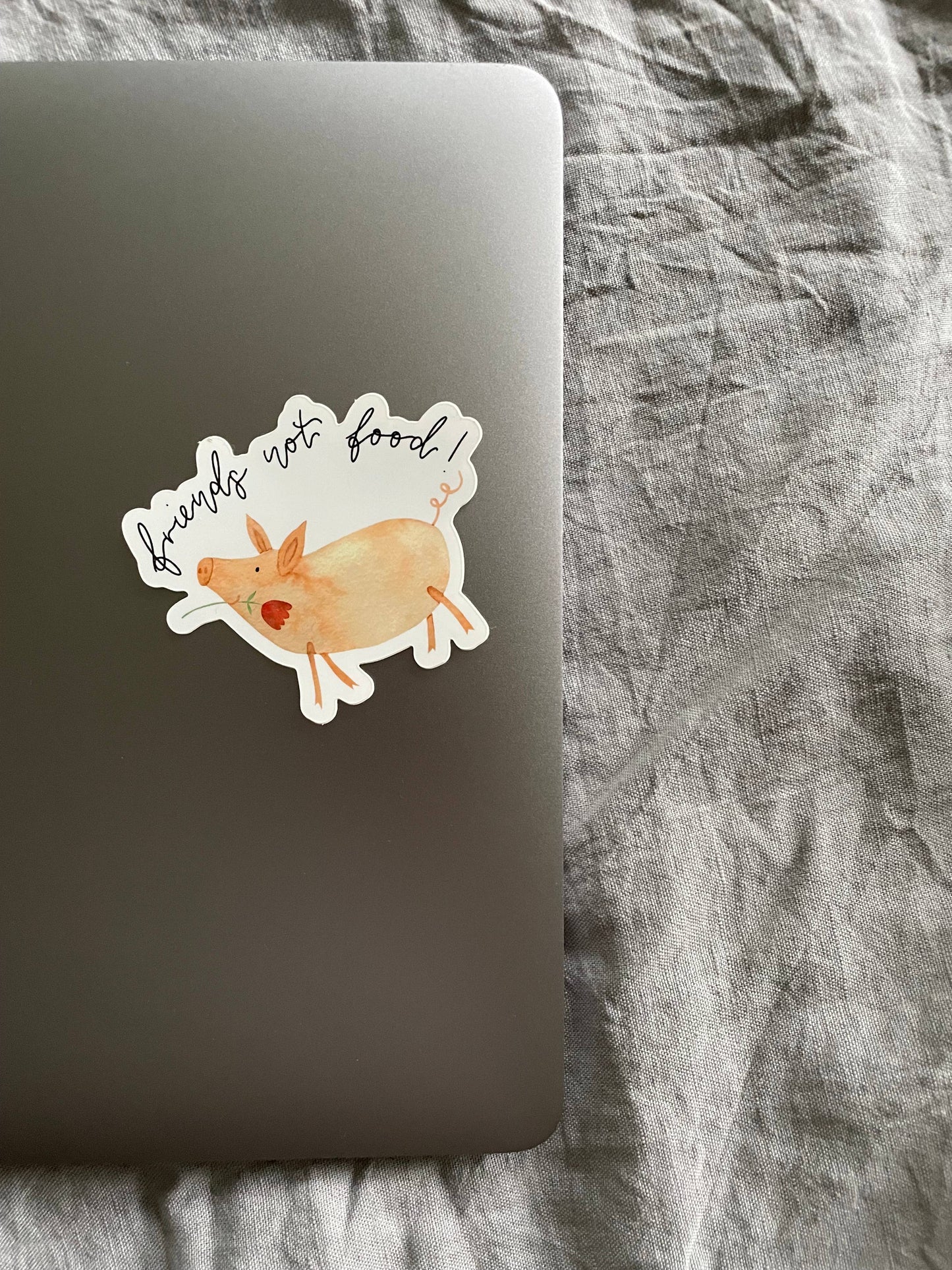 Sticker – Friends not food!