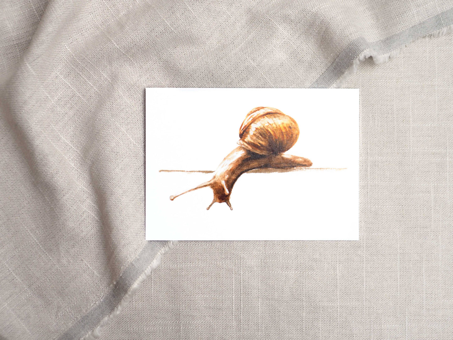 Schnecke A6