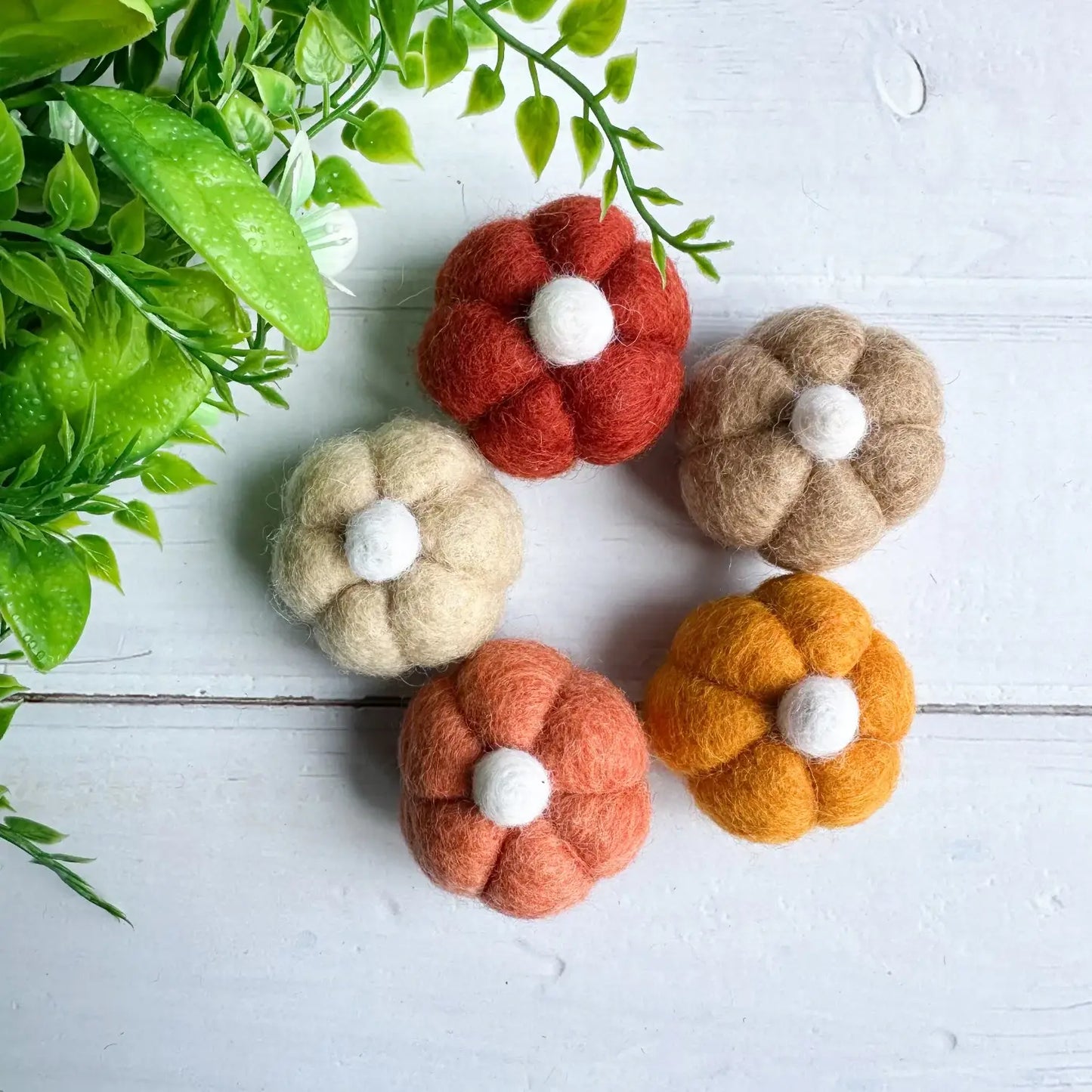 Filzfigurset - Mini-Kürbis (5 Stück)