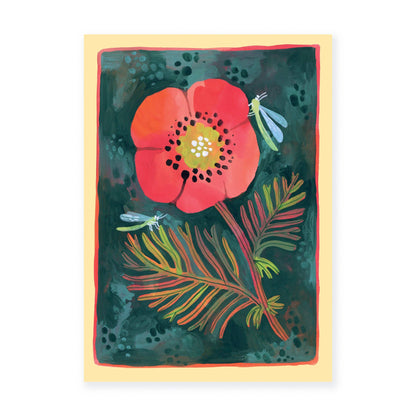 Mohn A6