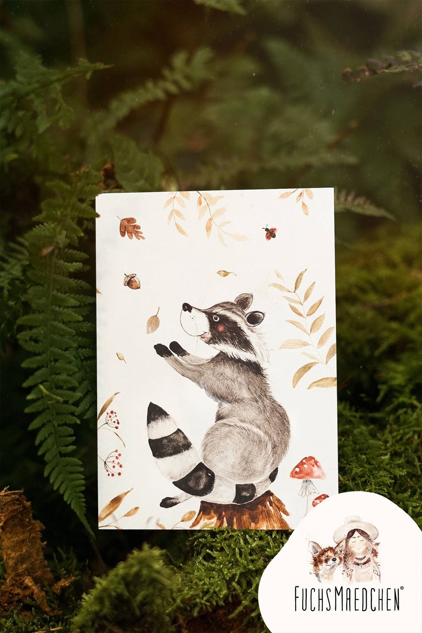 Waschbär im Herbstzauber