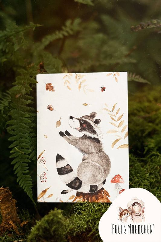 Waschbär im Herbstzauber