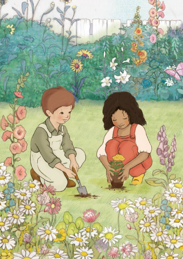 Samen pflanzen