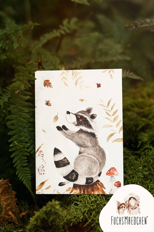 Print A4 - Waschbär im Herbstzauber