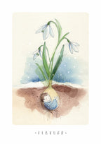 Monatskarten Blumen - Set von Stefanie Messing