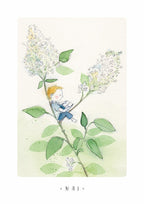 Monatskarten Blumen - Set von Stefanie Messing