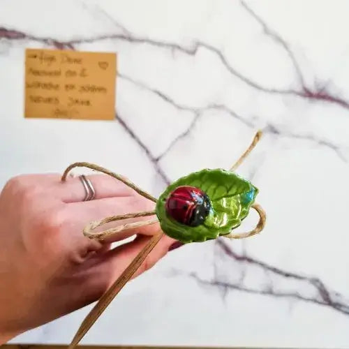 Glücks-Marienkäfer auf Blatt