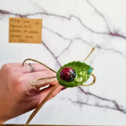 Glücks-Marienkäfer auf Blatt