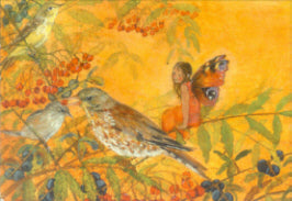 Postkarte Elfe mit Vogel von Daniela Drescher A6, Elfe mit Schmetterlingsflügeln zwischen roten Vogelbeeren und dunklen Beeren, daneben zwei Drosseln