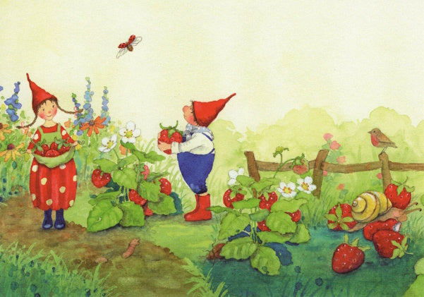 Postkarte Pippa und Pelle im Erdbeerenbeet von Daniela Drescher A6, zwei Wichtel mit roten Mützen pflücken Erdbeeren, Rotkehlchen auf dem Zaun und eine Schnecke
