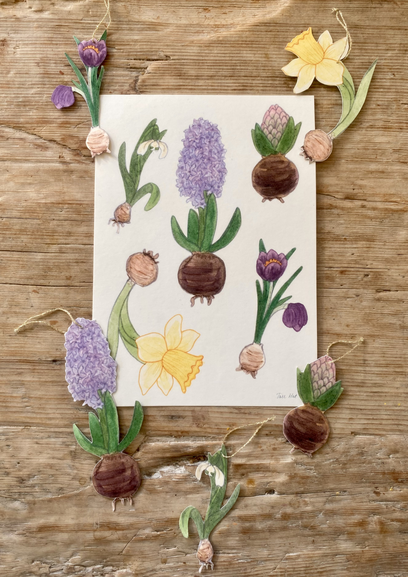 Bastelbogen - Frühlingsblumen