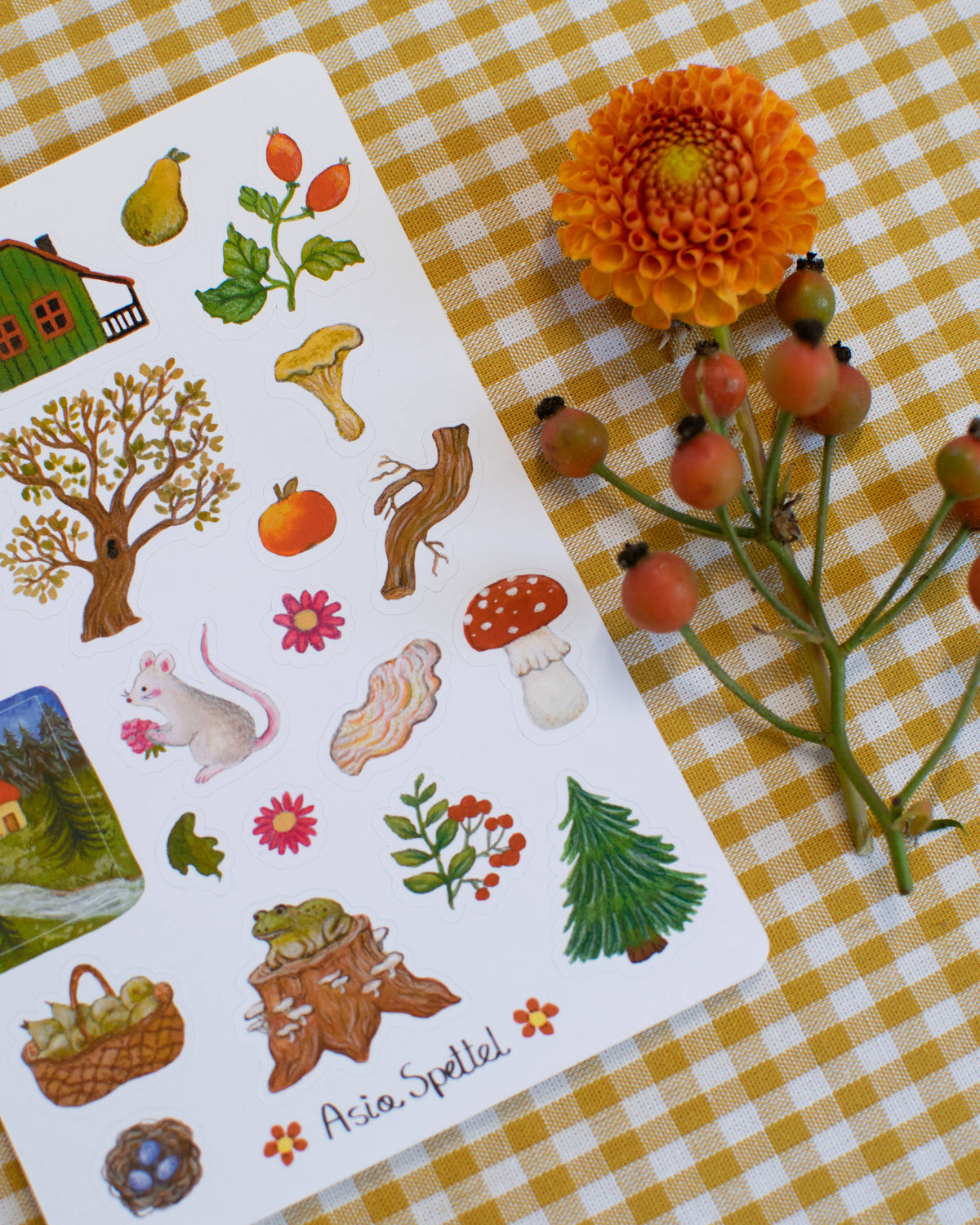 Stickerbogen Augustwald von Asia Spettel A6 mit Herbstblumen