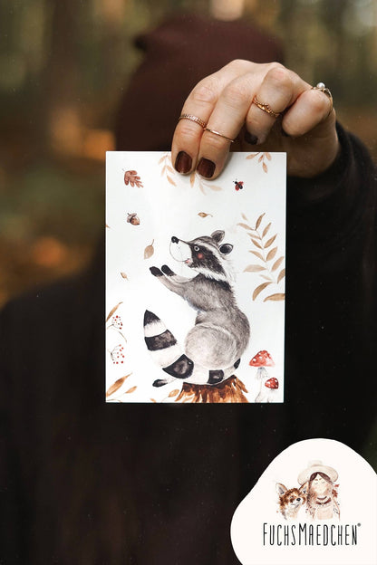 Waschbär im Herbstzauber