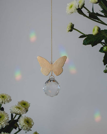 Sonnenfänger - Schmetterling