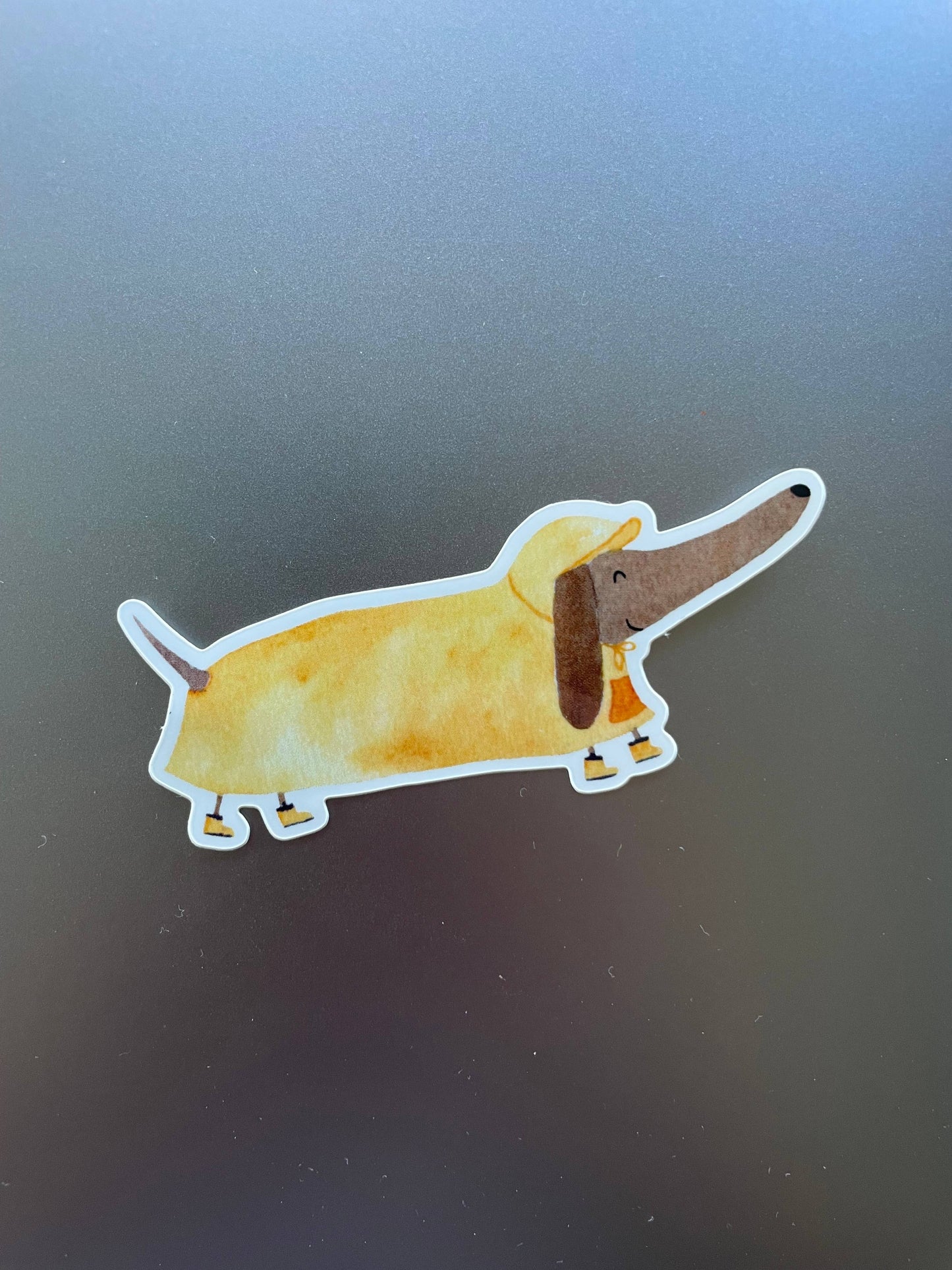 Sticker - Dackel mit Regenmantel 