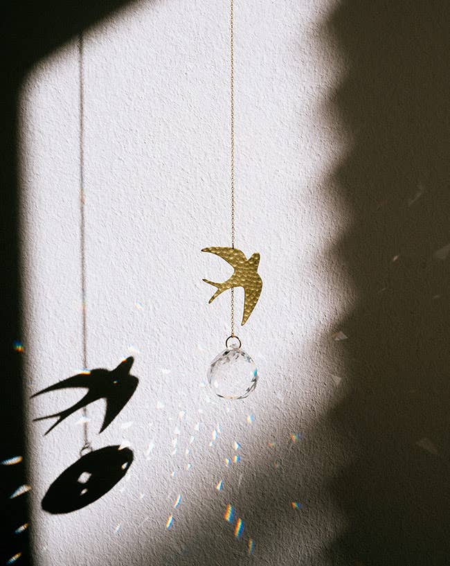 Sonnenfänger - Schwalbe