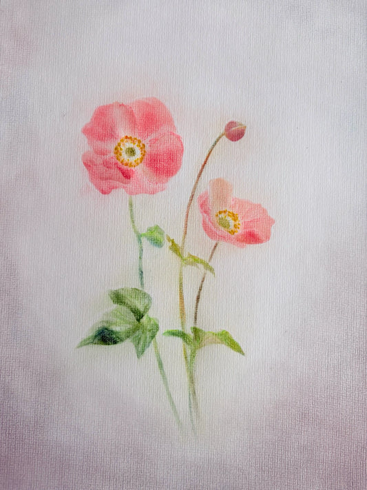 Anemonen