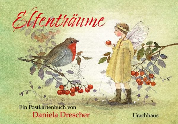 Postkartenbuch Elfenträume