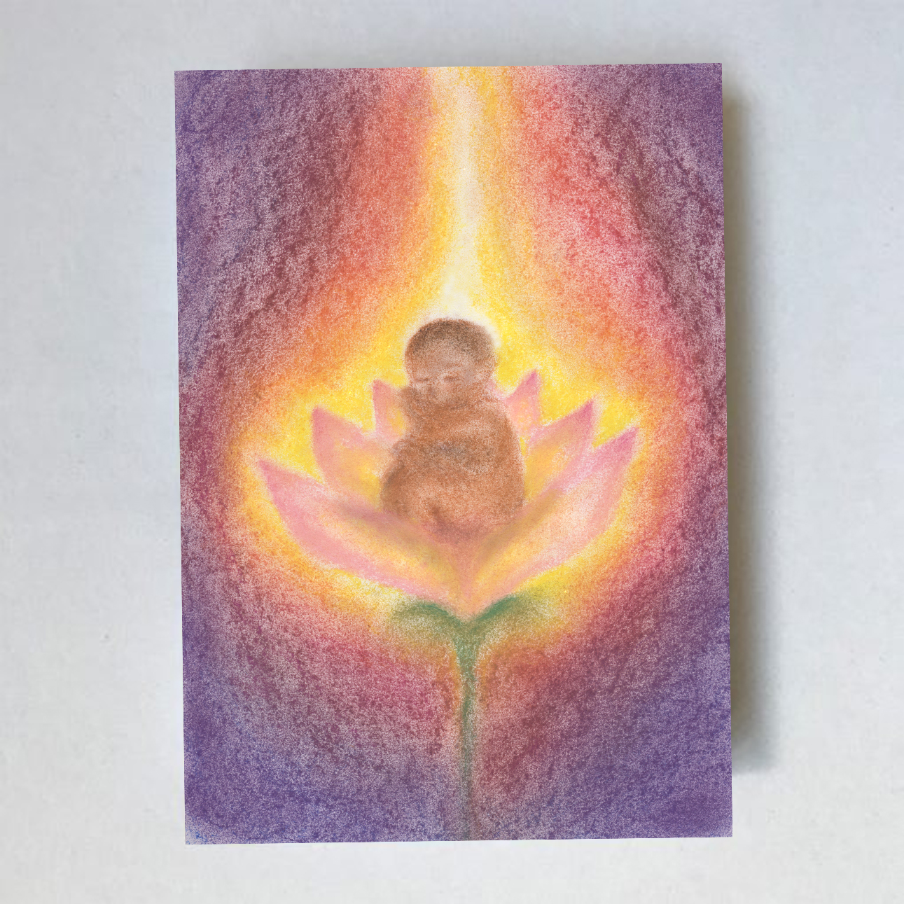 Lotus Baby