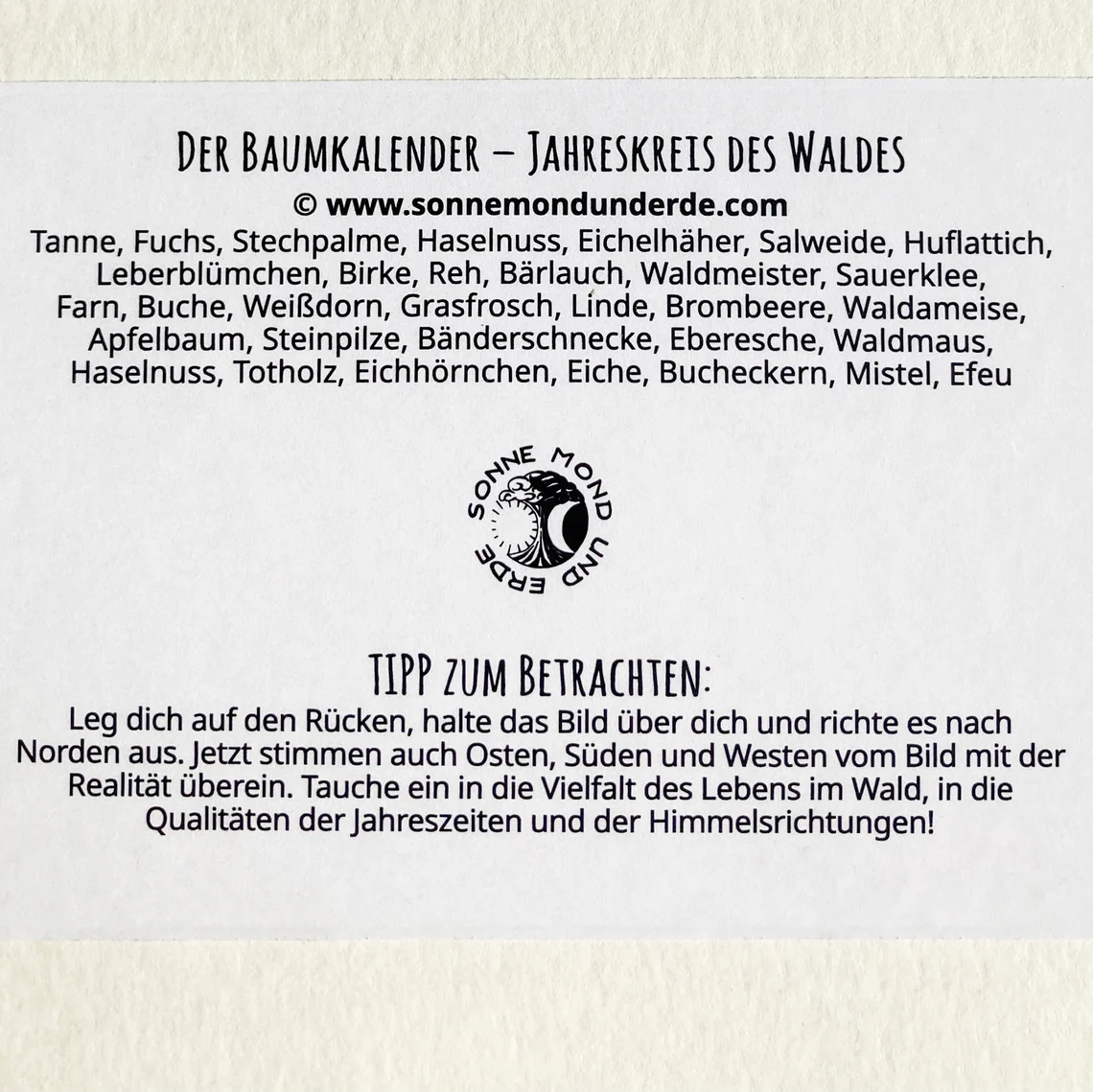 Der Baumkalender - Jahreskreis des Waldes