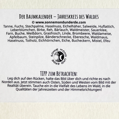 Der Baumkalender - Jahreskreis des Waldes