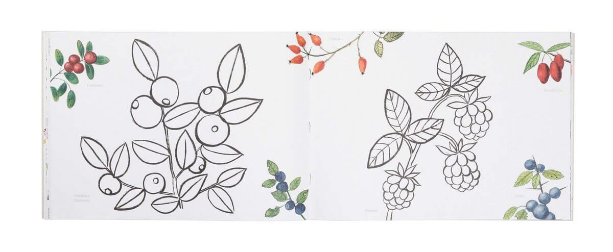Naturmalbuch