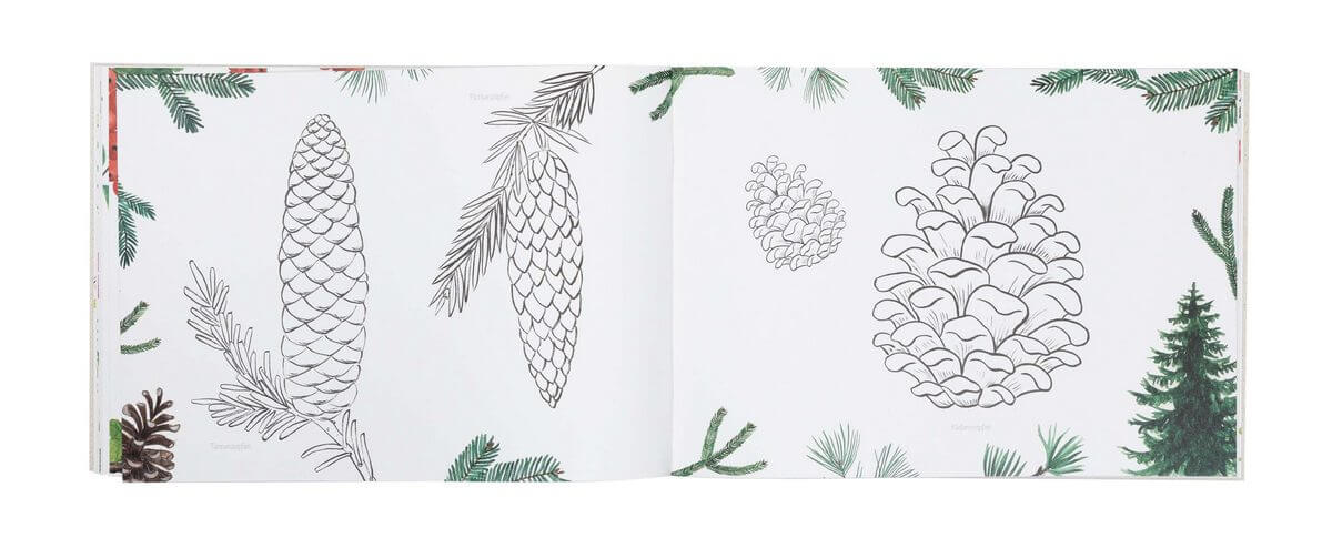 Naturmalbuch