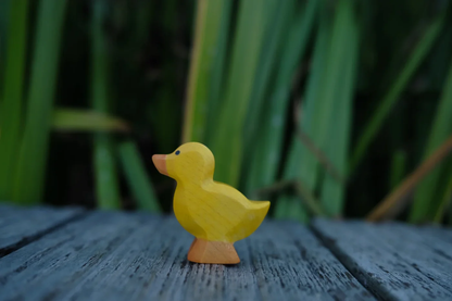 Holzwald Entenküken