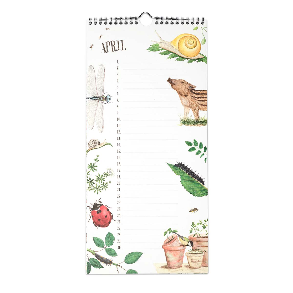 Geburtstagskalender ringgebunden