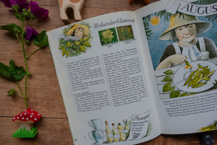 Kinderbuch Linnéas Jahrbuch, Blick ins Buch