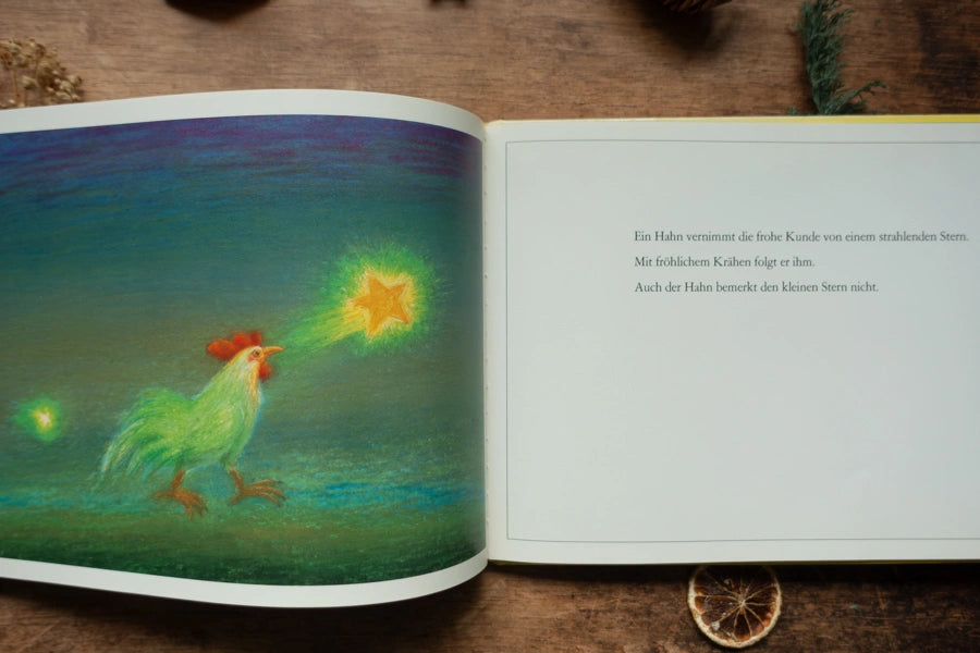 Bilderbuch Der kleine Stern, Blick ins Buch