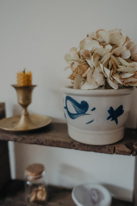 Schmalztopf - 2. Chance