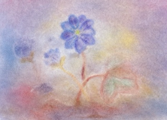 Leberblümchen