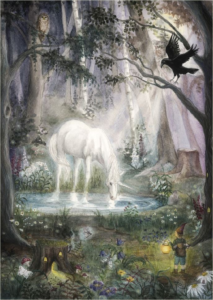 Mitternacht im Wald