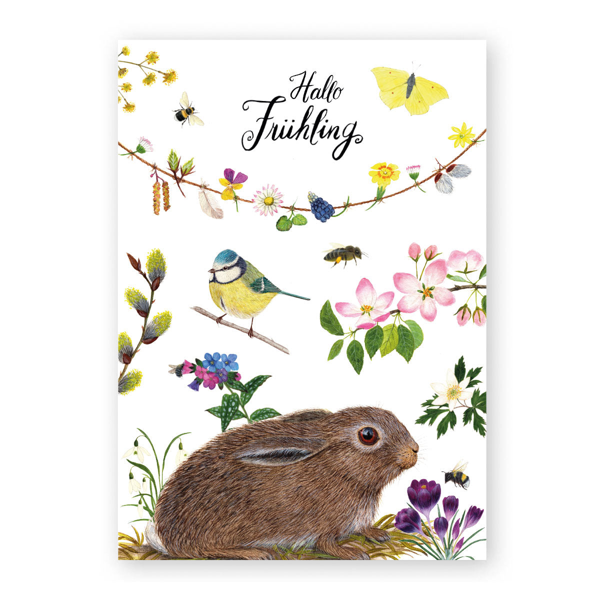 Hallo Frühling