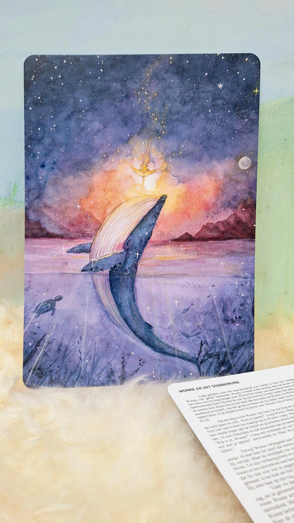 Erzählkarte - Wonne und das Sternenkind