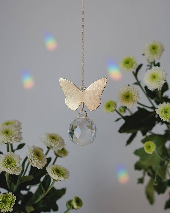 Sonnenfänger - Schmetterling