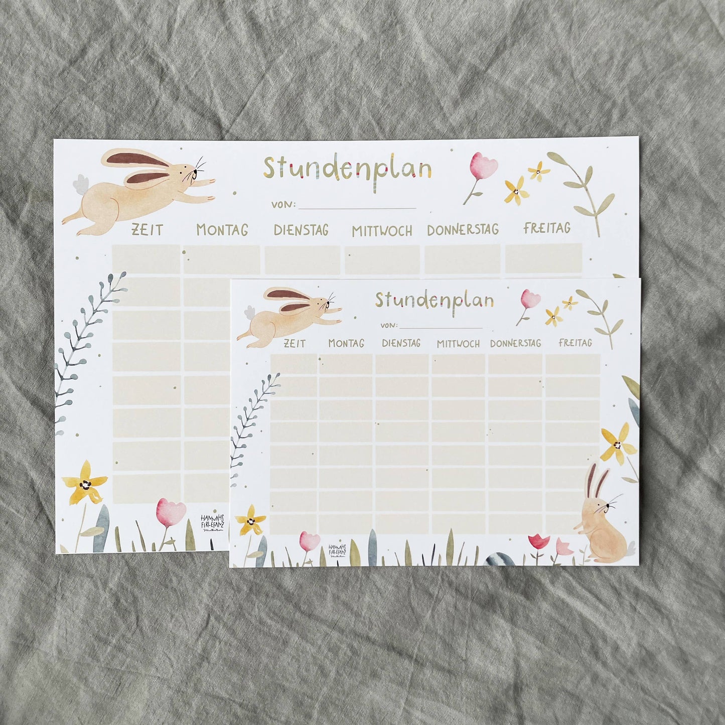 Stundenplan - Hase