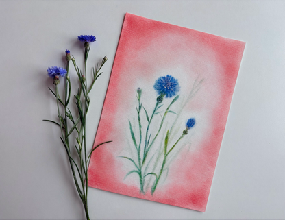 Kornblume