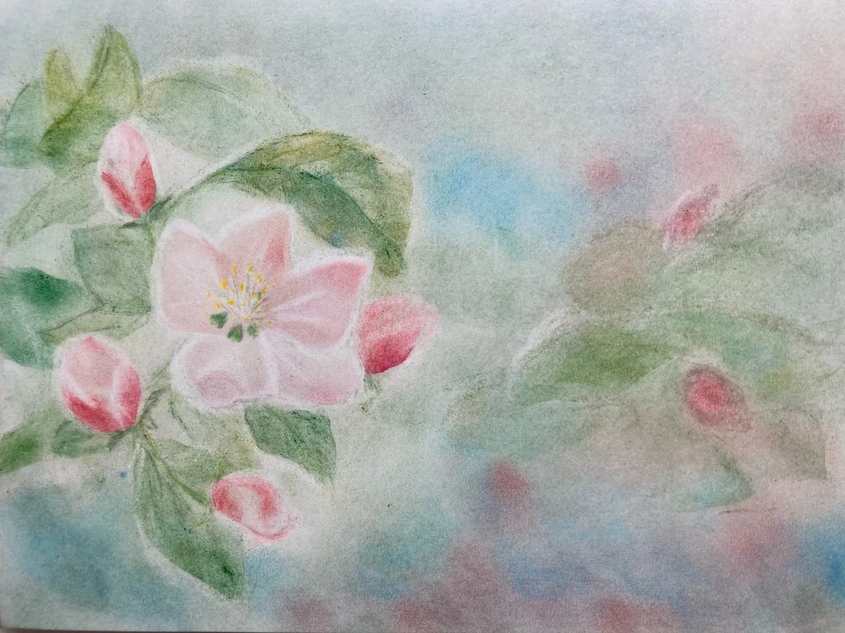 Postkarte Apfelblüten von Andrea Reiß: Apfelblüten in Rosa- und Pastelltönen