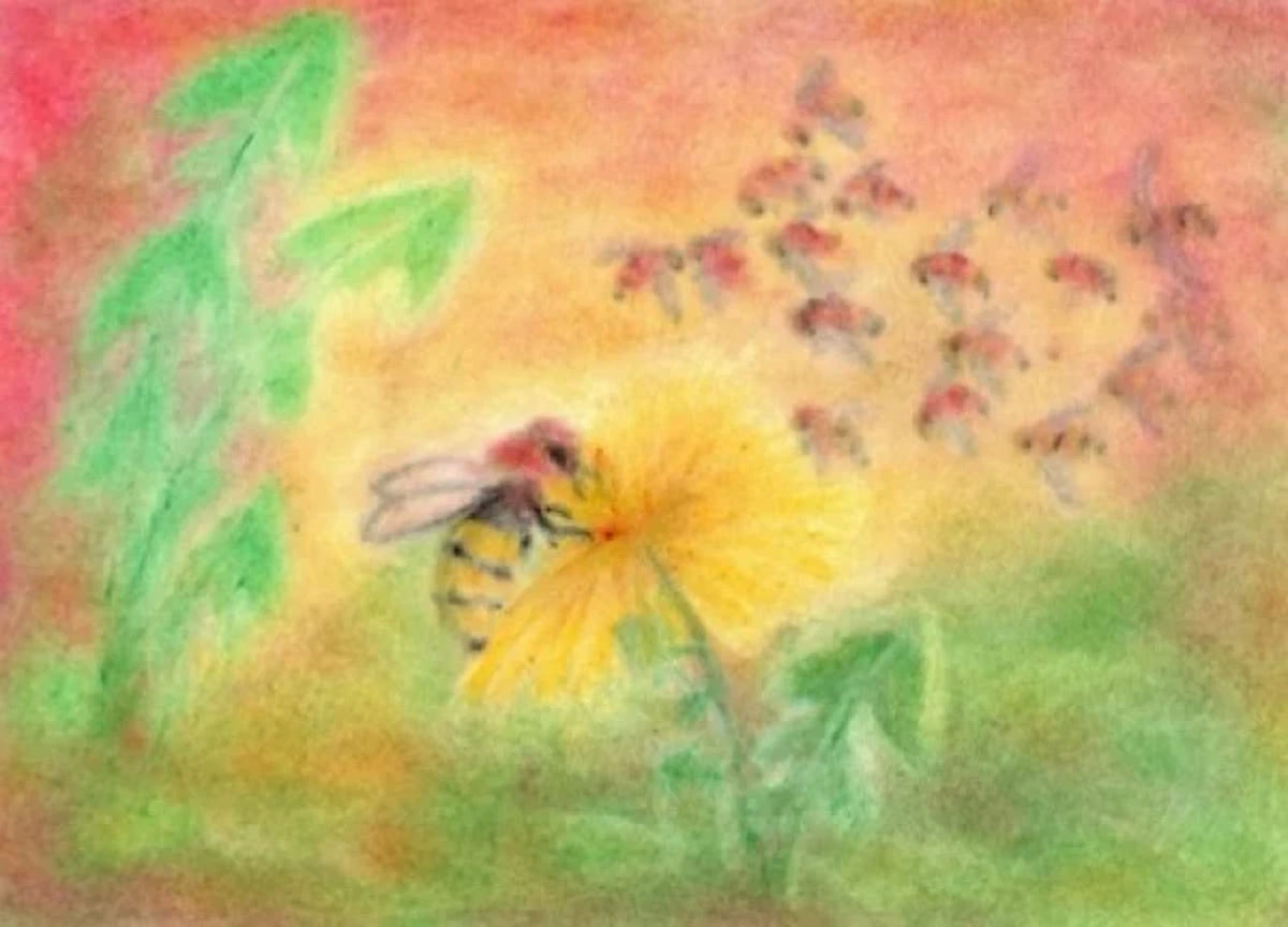 Postkarte Biene von Andrea Reiß: Biene auf einer Löwenzahnblüte