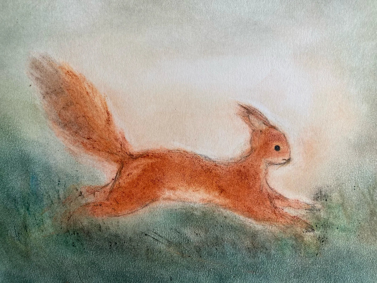 Postkarte Eichhörnchen von Andrea Reiß: rotbraunes Eichhörnchen auf einer grünen Wiese