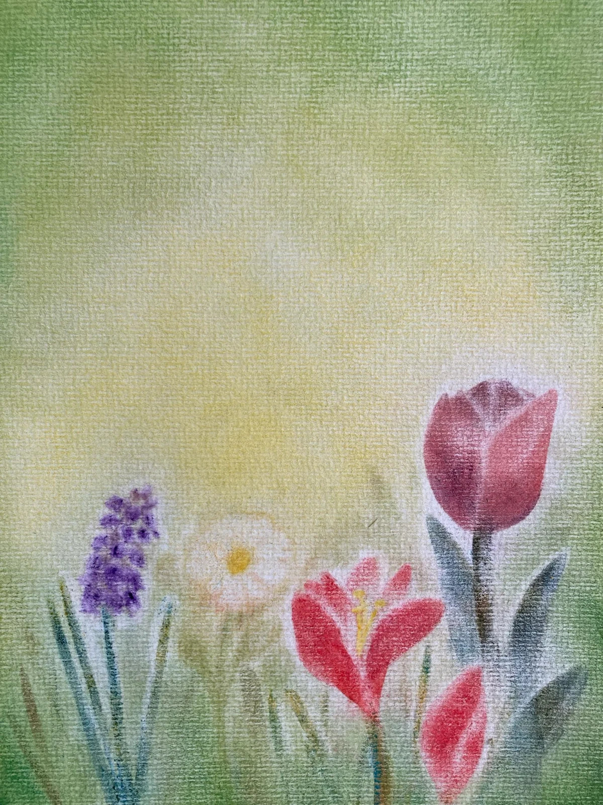Postkarte Frühlingserwachen von Andrea Reiß: Frühlingswiese mit ersten Blumen