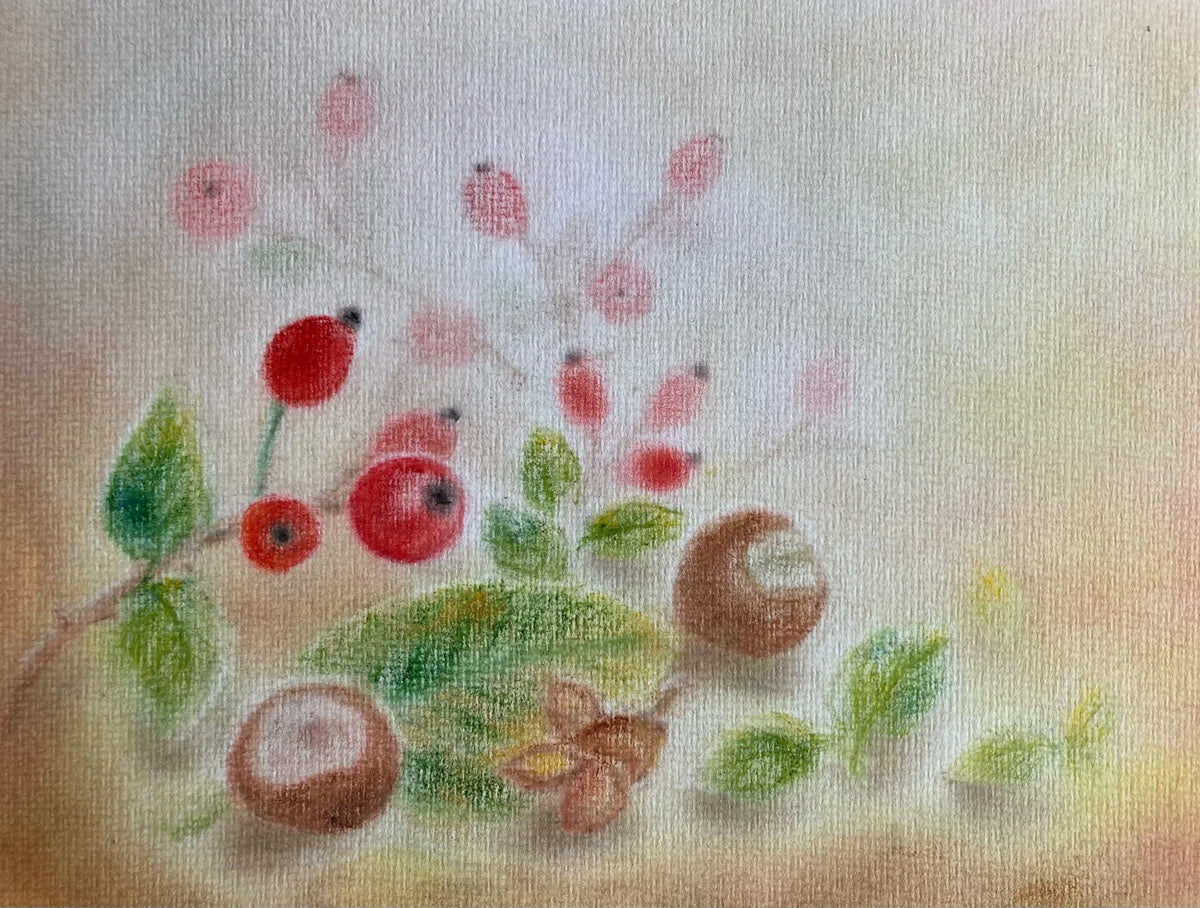Postkarte Hagebutten von Andrea Reiß: Hagebutten und Kastanien