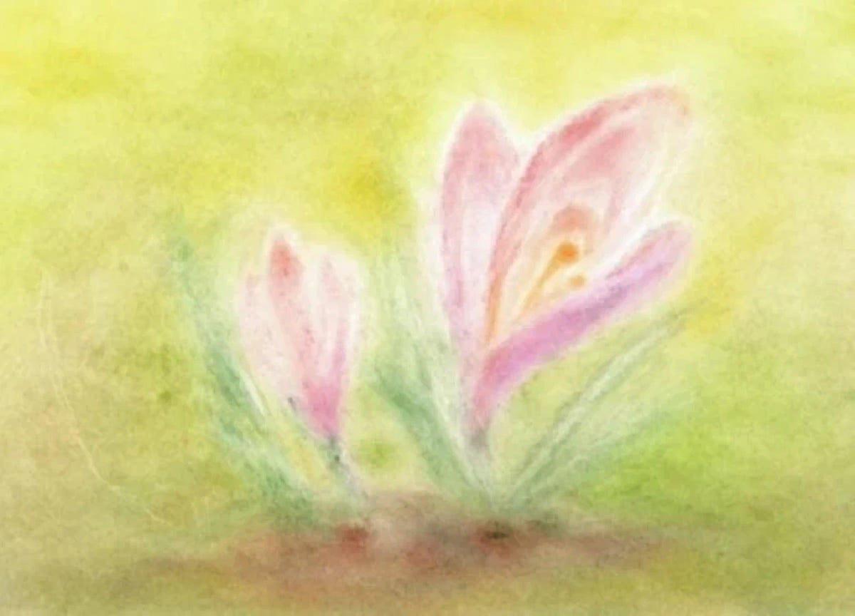 Postkarte Krokus von Andrea Reiß: Krokusse auf einer Wiese im Frühling