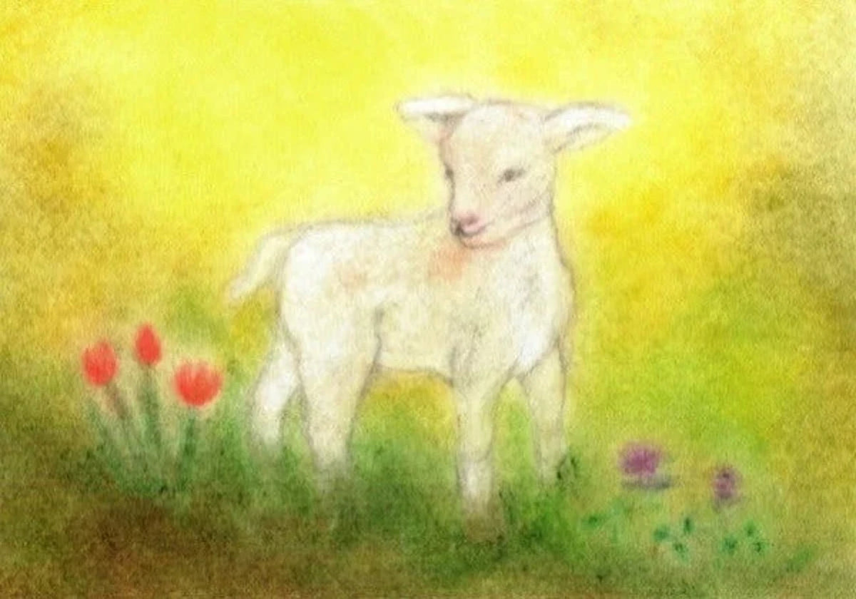 Postkarte Lämmchen von Andrea Reiß: Lämmchen auf einer Frühlingswiese