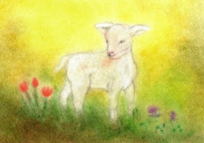 Postkarte Lämmchen von Andrea Reiß: Lämmchen auf einer Frühlingswiese