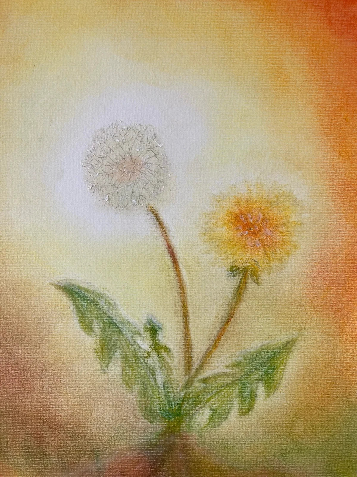 Postkarte Löwenzahn von Andrea Reiß: Löwenzahnblüte und Pusteblume